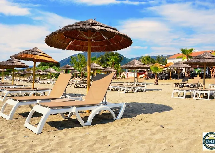 Appartamento Next To The Sea 4 Peoples-wifi-tv-air Conditioning-moriani Haute-corse San-Nicolao
